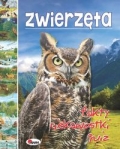 zwierzeta-fakty-ciekawostki-quiz.jpg
