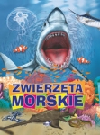 zwierzeta-morskie-3.jpg