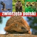 zwierzeta-polski-6.jpg