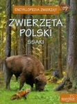 zwierzeta-polski-7.jpg