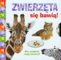 zwierzeta-sie-bawia.jpg