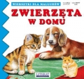 zwierzeta-w-domu-4.jpg