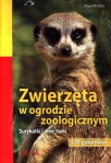 zwierzeta-w-ogrodzie-zoologicznym-surykatki-i-inne-ssaki.jpg