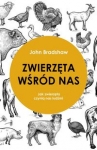 zwierzeta-wsrod-nas.jpg