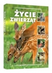 zycie-zwierzat.jpg