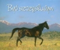 byc-szczesliwym.jpg